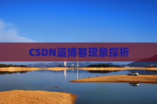 CSDN盗博客现象探析